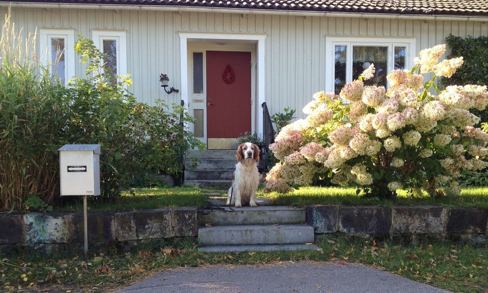 Tant Groen B&B Falun Zewnętrze zdjęcie